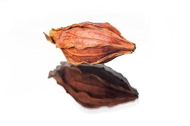 《Rematch》官宣三位足坛传奇巨星加盟球员阵容